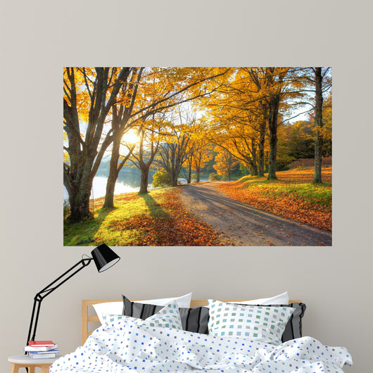 Lake Pathway with Yellow Wall Decal