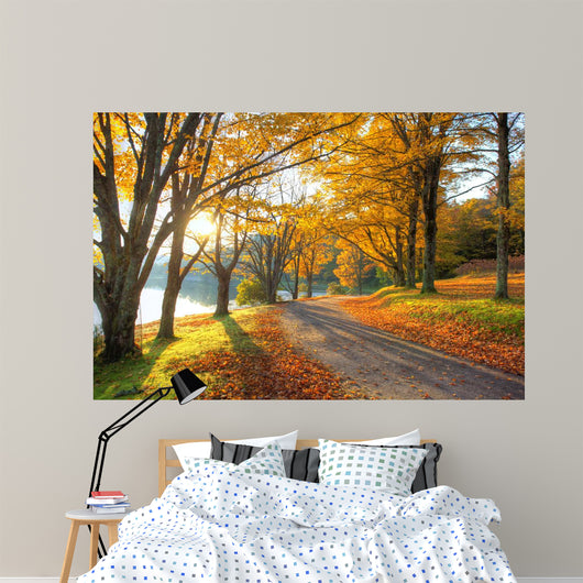 Lake Pathway with Yellow Wall Decal
