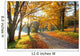Lake Pathway with Yellow Wall Decal