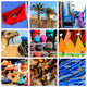 Composition Objects or Typical Wall Decal