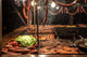 Sausages On Grill - Street Fast-Food Wall Decal