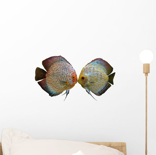 Pair Discus Fish White Wall Decal