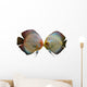 Pair Discus Fish White Wall Decal
