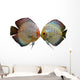 Pair Discus Fish White Wall Decal