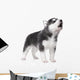 Cute little husky puppy isolated on white background Wall Decal
