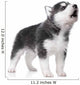 Cute little husky puppy isolated on white background Wall Decal