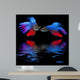 Betta splendens - siamese fighting fish on a black background Wall Mural