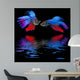Betta splendens - siamese fighting fish on a black background Wall Mural