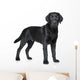 Black Labrador puppy Wall Decal