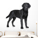 Black Labrador puppy Wall Decal