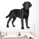 Black Labrador puppy Wall Decal
