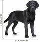 Black Labrador puppy Wall Decal