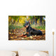 Doberman Pinscher dog Wall Mural