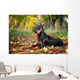 Doberman Pinscher dog Wall Mural