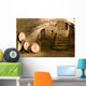 Wine cellar Wall Mural