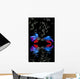 Betta splendens - siamese fighting fish on a black background Wall Mural