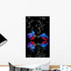 Betta splendens - siamese fighting fish on a black background Wall Mural