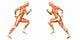 Male Human Body Anatomy Wall Decal