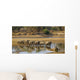 Large elephant herd crossing Luangwa river in Zambia Wall Mural