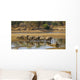 Large elephant herd crossing Luangwa river in Zambia Wall Mural