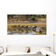 Large elephant herd crossing Luangwa river in Zambia Wall Mural