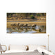 Large elephant herd crossing Luangwa river in Zambia Wall Mural