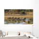 Large elephant herd crossing Luangwa river in Zambia Wall Mural