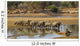 Large elephant herd crossing Luangwa river in Zambia Wall Mural