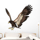 Bald Eagle Wall Decal