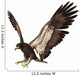 Bald Eagle Wall Decal