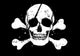 Black Pirate Flag Wall Decal