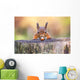 Red Squirrel can't believe his luck Wall Mural