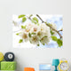 White Cherry Blossoms Branch Wall Decal