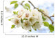 White Cherry Blossoms Branch Wall Decal