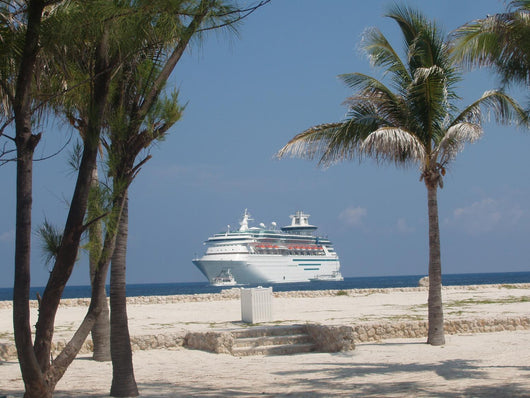 Cruise Ship With Palm Trees Wall Decal