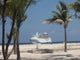 Cruise Ship With Palm Trees Wall Decal