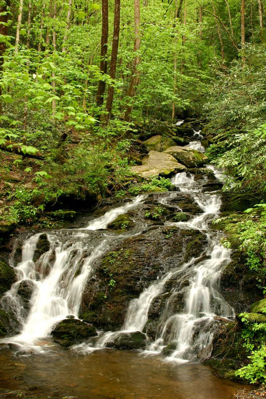 Spring Waterfall Wall Decal