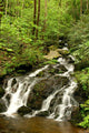 Spring Waterfall Wall Decal