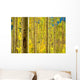 Aspen Trees Forest Wall Mural