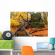 Rock Cut State Park Illinois Wall Mural