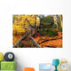 Rock Cut State Park Illinois Wall Mural