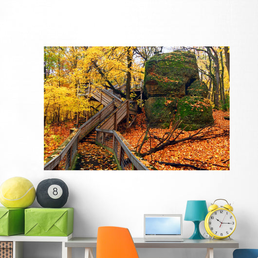 Rock Cut State Park Illinois Wall Mural