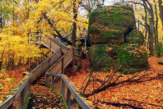 Rock Cut State Park Illinois Wall Decal