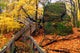 Rock Cut State Park Illinois Wall Decal