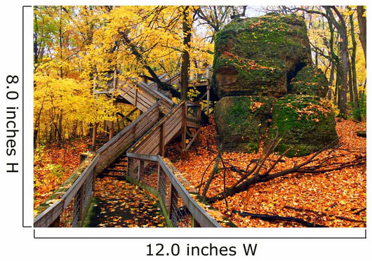 Rock Cut State Park Illinois Wall Mural