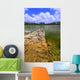Everglades National Park USA Wall Mural
