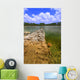 Everglades National Park USA Wall Mural
