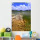 Everglades National Park USA Wall Mural