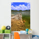 Everglades National Park USA Wall Mural