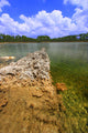 Everglades National Park USA Wall Decal 3